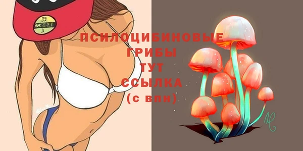 шишки Алексин