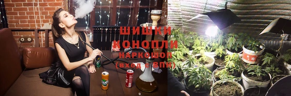 шишки Алексин