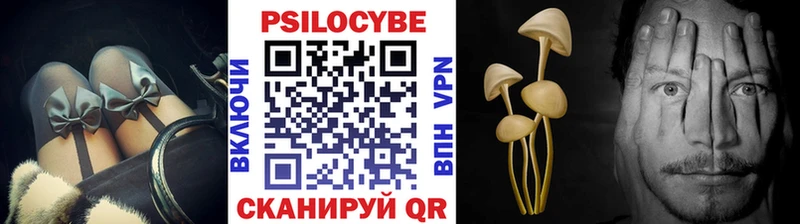 где найти   Ижевск  Галлюциногенные грибы мицелий 